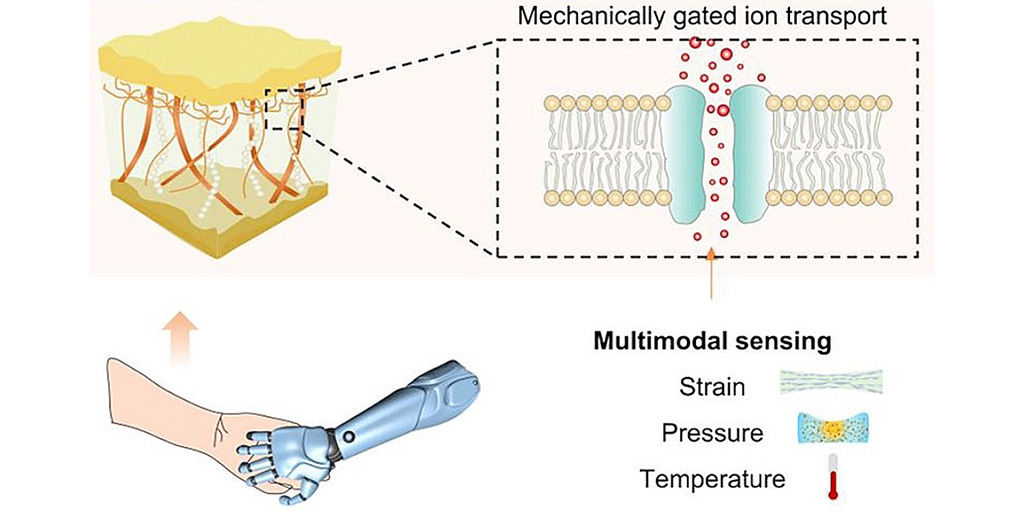 Prof. YAO Xi’s Research Group Achieves Groundbreaking Findings Published in Nature Communications and Advanced Materials