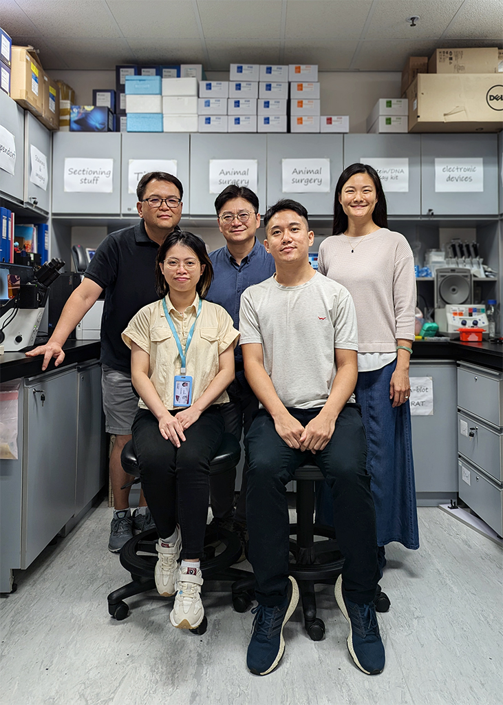 New Research Breakthrough: Engineered Probiotics Shield Against Heart Stroke