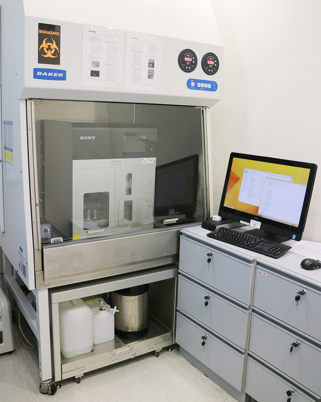 Flow Cytometry