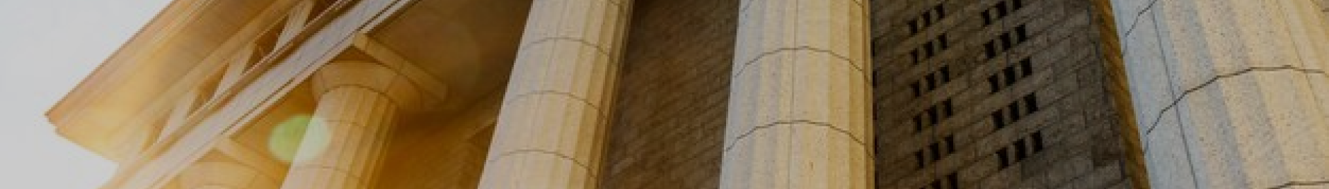 Undergraduate Image