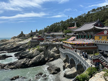 文化薈韓國釜山慶州八天文化考察團