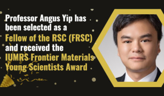 Prof Angus Yip