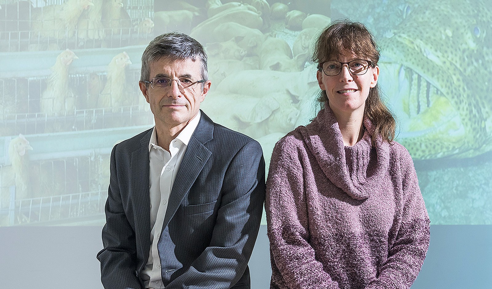 Dirk Pfeiffer and Sophie St-Hilaire