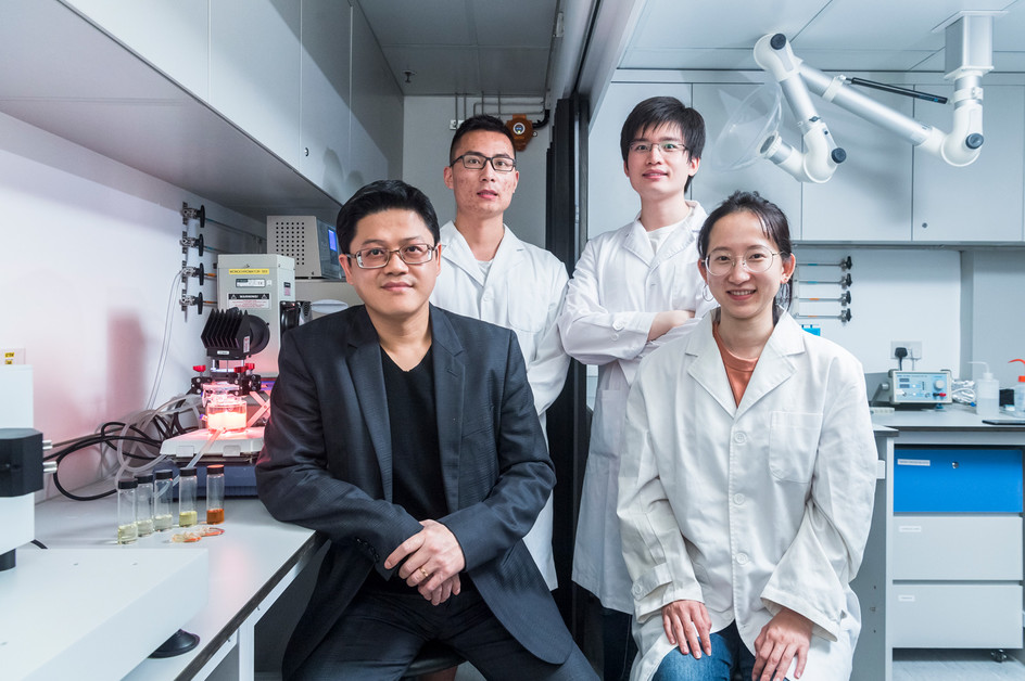 Boosting Solar Energy Conversion Efficiency 