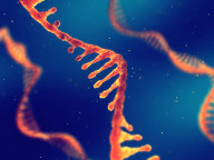 rna 