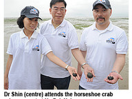 110418_Crab-1.jpg Thumbnail